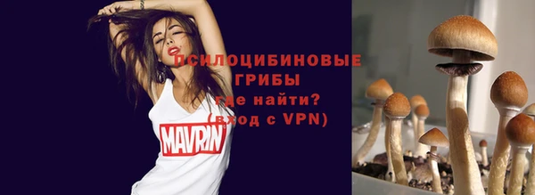 молекула духа Нея