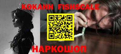 индика Гай