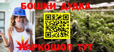 индика Гай