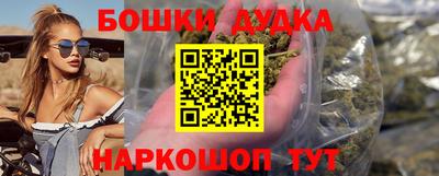 индика Гай