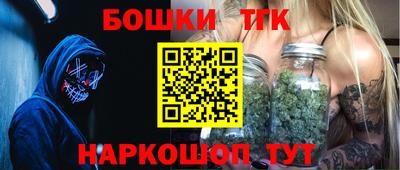 индика Гай