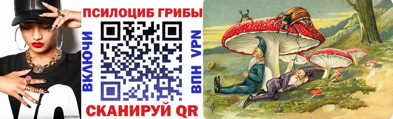 купить  сайты  блэк спрут ССЫЛКА  Галлюциногенные грибы мицелий  Калининград 