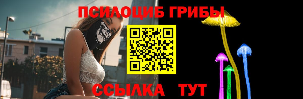 Галлюциногенные грибы мицелий  Вход с VPN  Калининград 